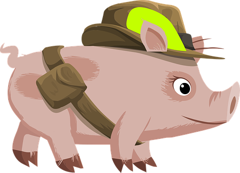 Adventurous Pig Cartoon PNG