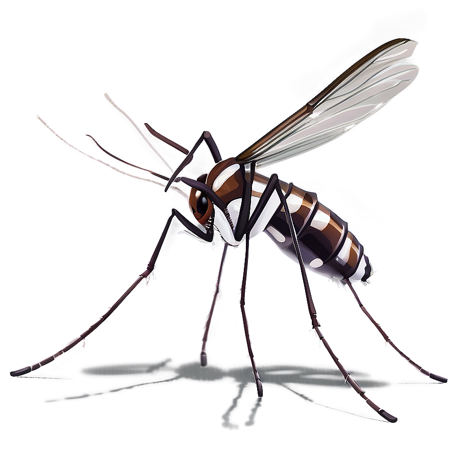 Download Aedes Mosquito Png 05242024 | Wallpapers.com