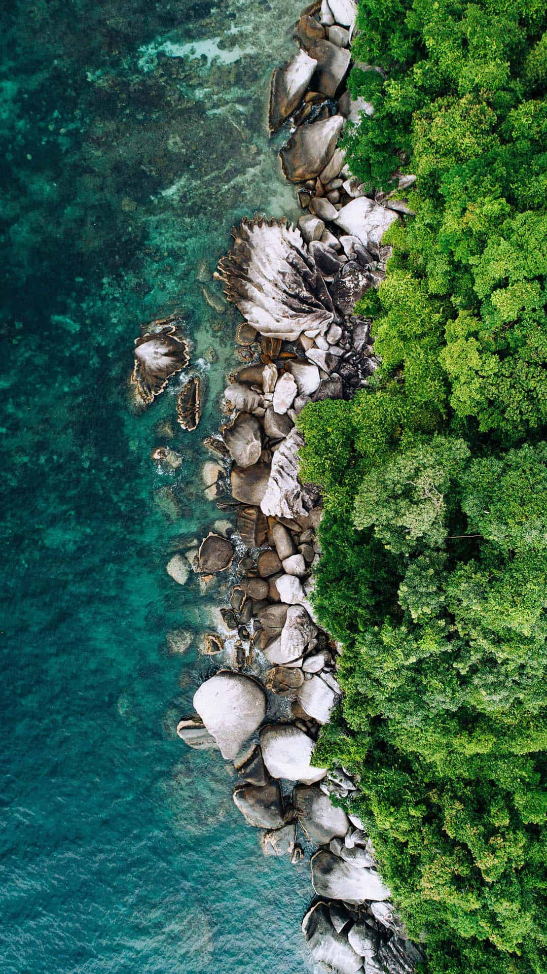 Aerial Coastline Greenery Rocks Wallpaper