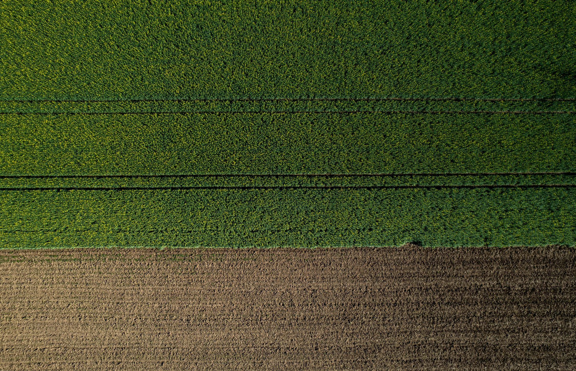 Aerial Farm Patterns Green Brown Wallpaper