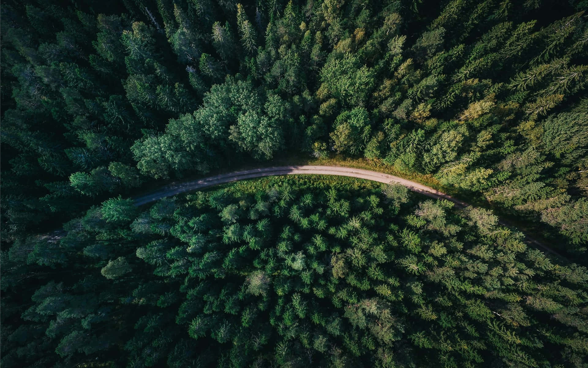 Download Aerial Forest Road Gavle Sweden Wallpaper | Wallpapers.com