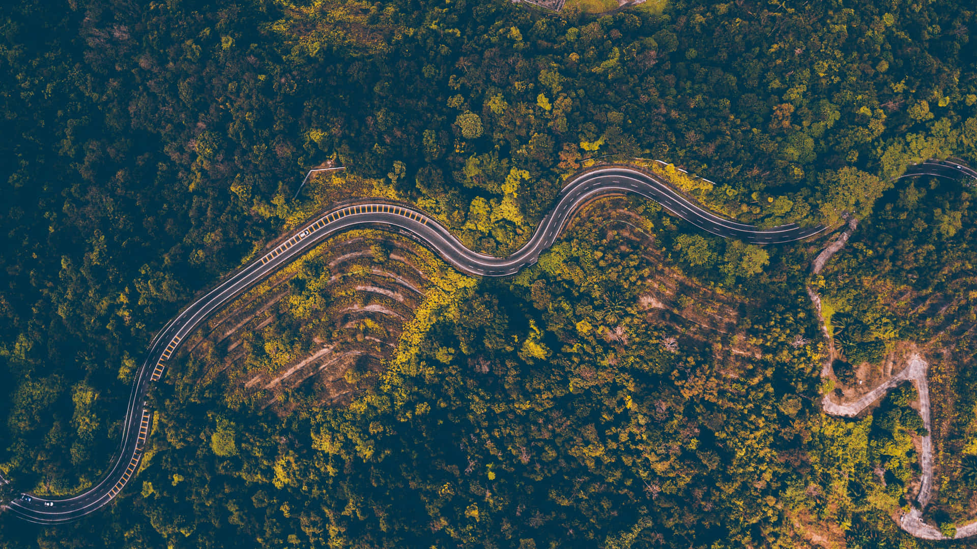 Road In The Middle Of Forest Aerial Picture