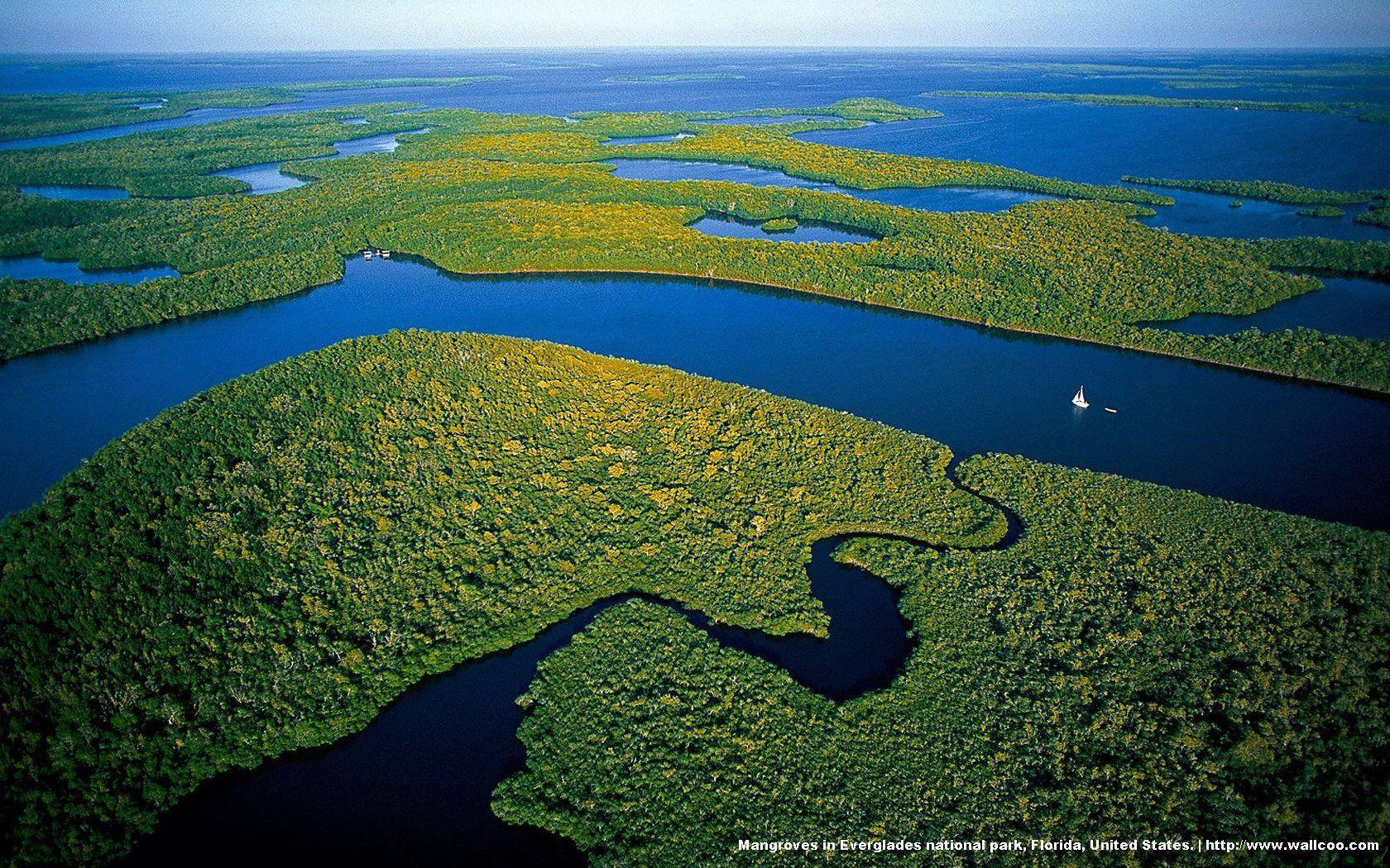 Aerial Shot Of Everglades National Park Wallpaper