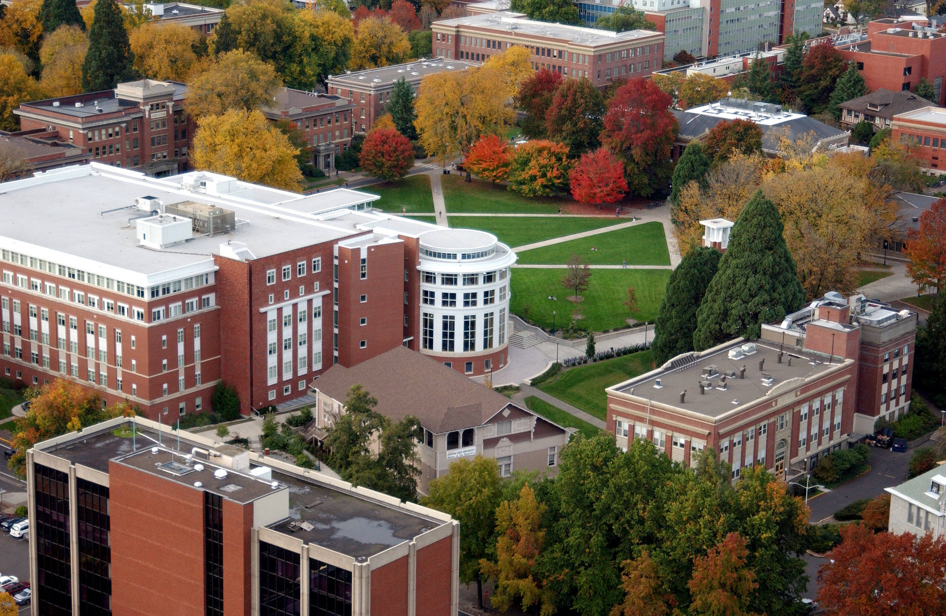 Aerial Shot Of Oregon State University Wallpaper