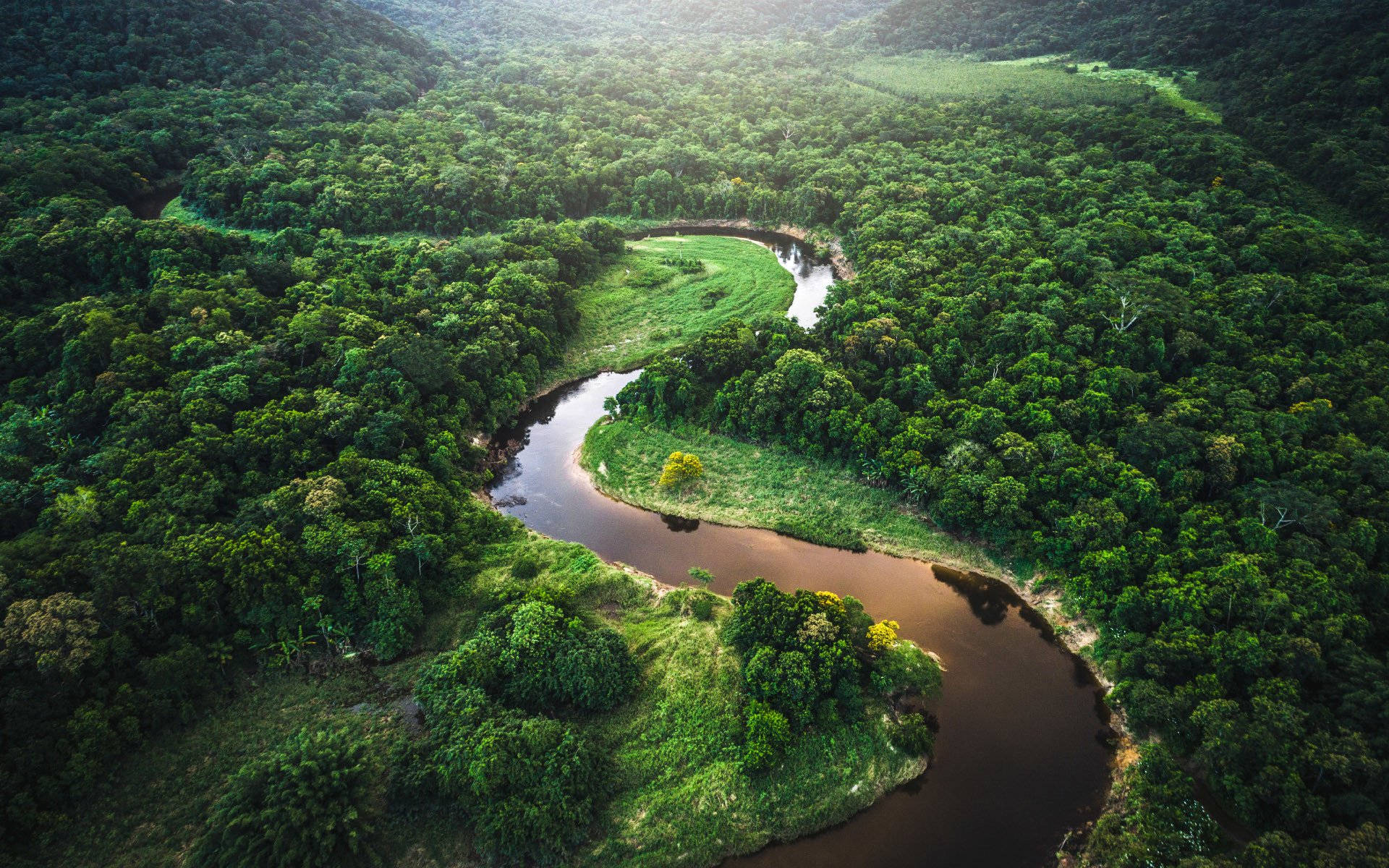 Luftfoto Af Amazonas-floden Wallpaper