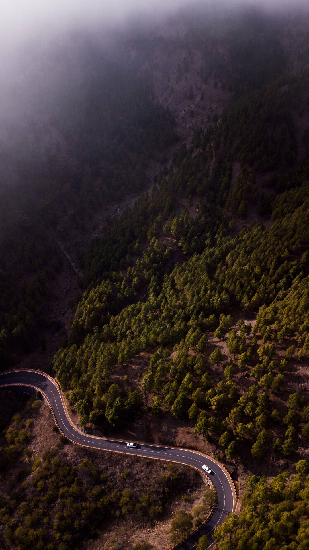 Luftaufnahmedes Nebeligen Waldes Wallpaper