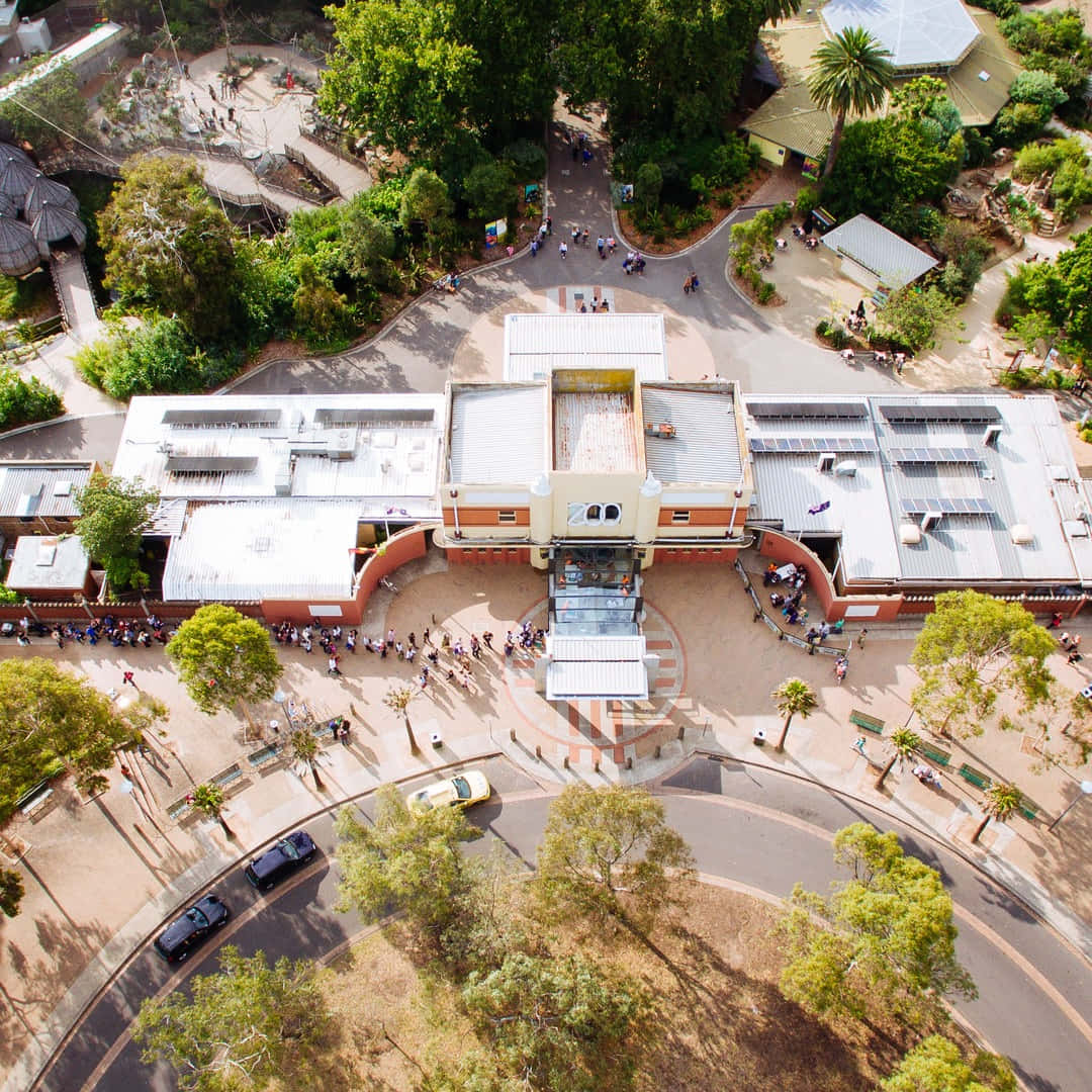 Aerial_ View_of_ Melbourne_ Zoo_ Entrance Wallpaper