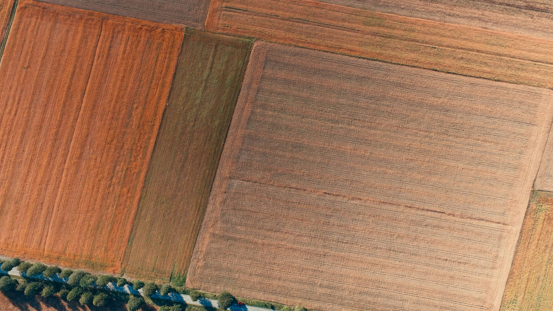 Aerial View Of Plots In Lithuania