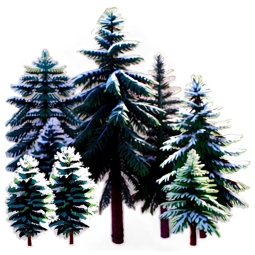 Aerial View Of Spruce Trees Png 26 PNG