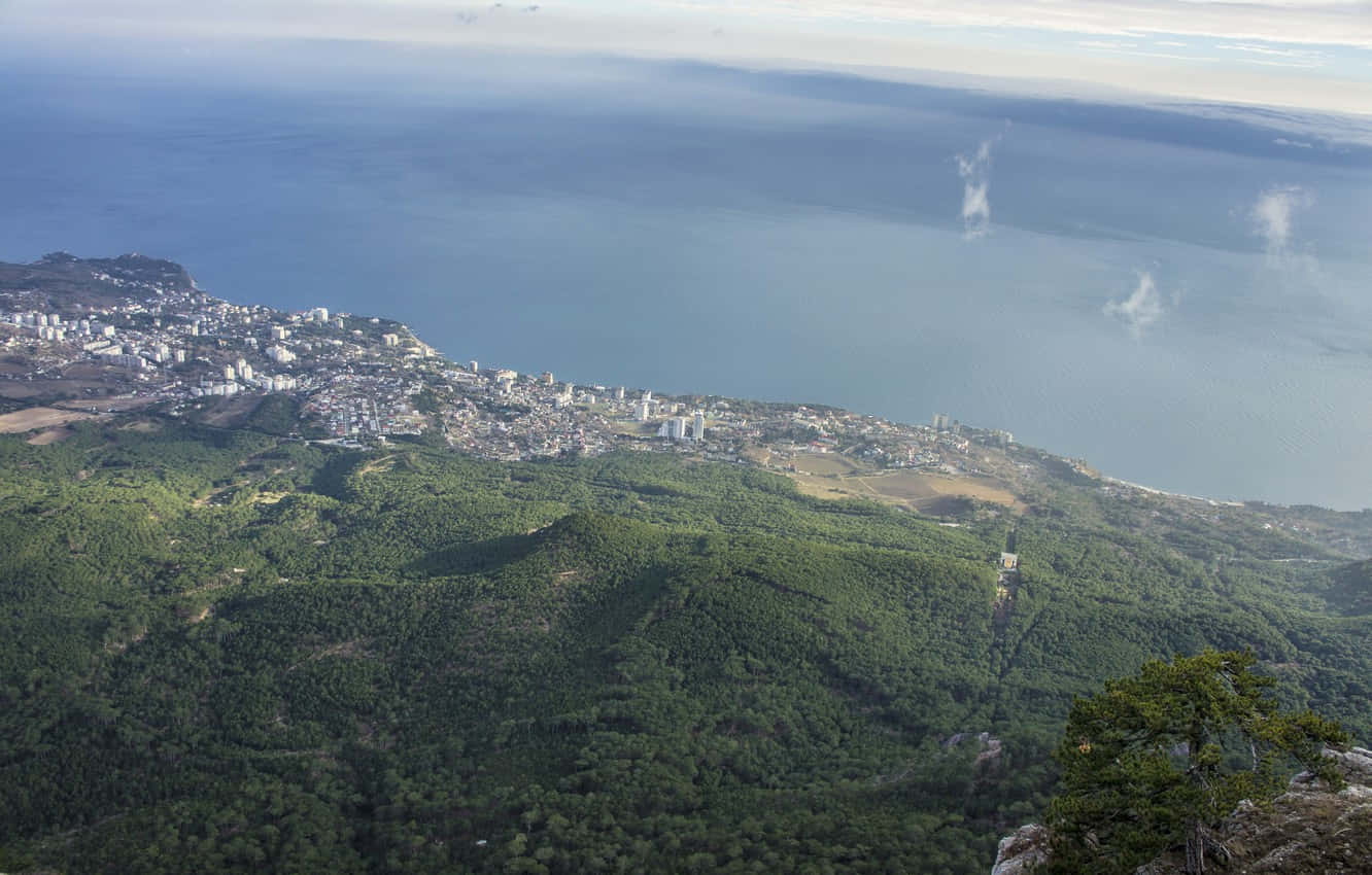Aerial View Of Yalta Coastline Wallpaper