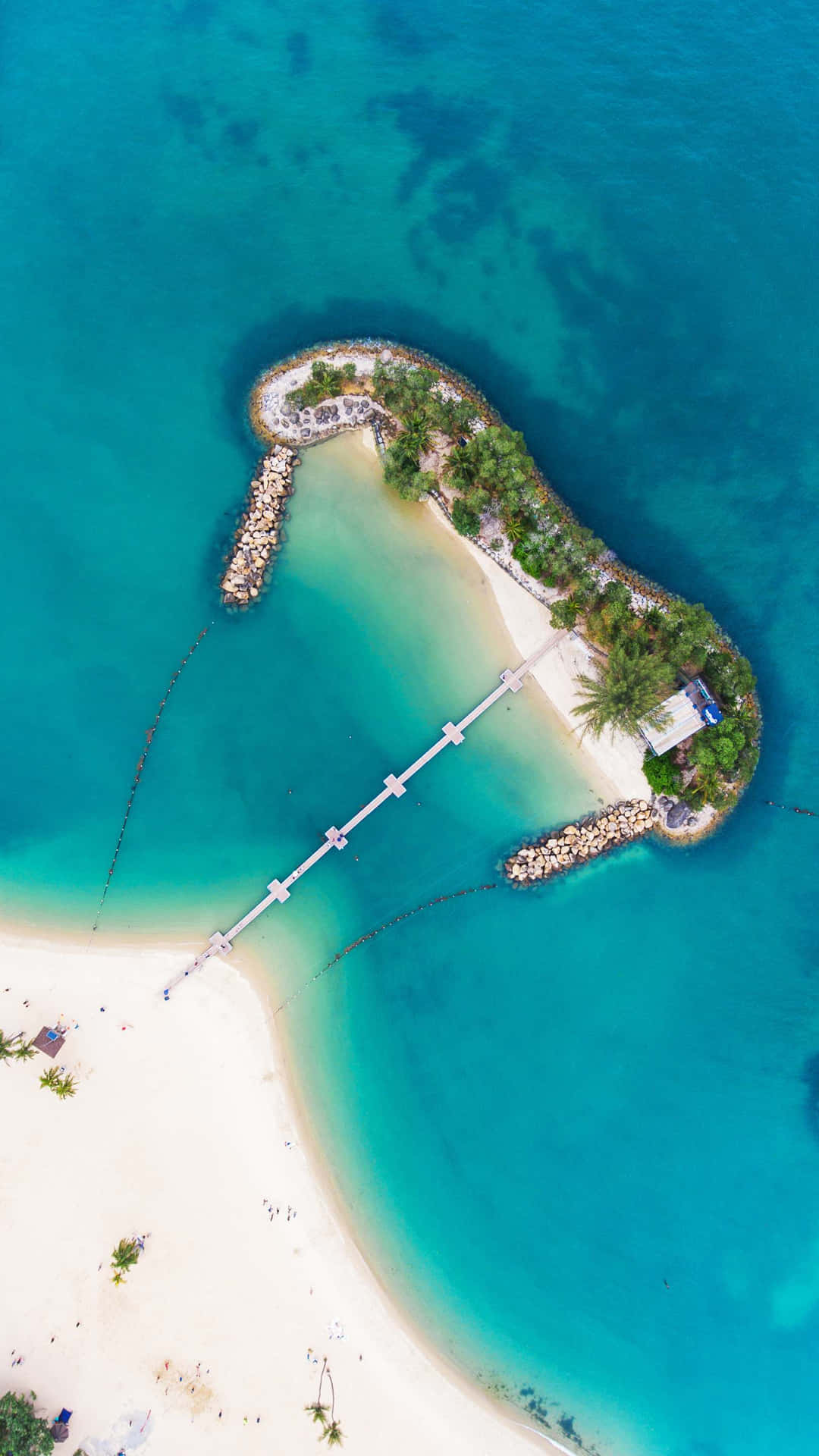 Aerial View Sentosa Island Tropical Beach Wallpaper