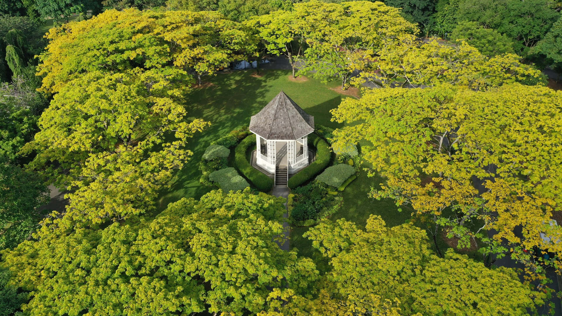 Aerial View Singapore Botanic Gardens Bandstand Wallpaper