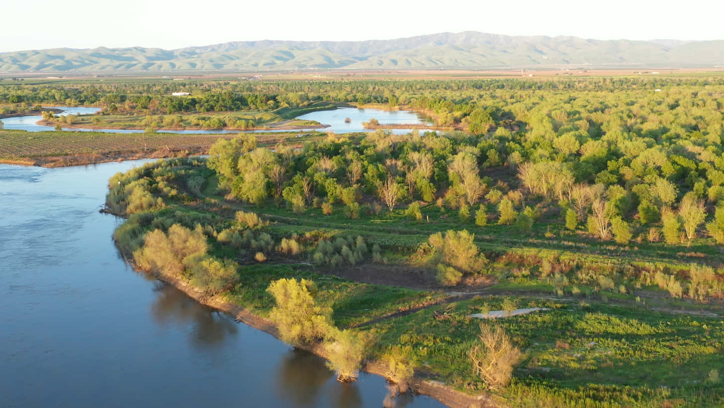 Aerial Viewof Modesto River Wetlands Wallpaper