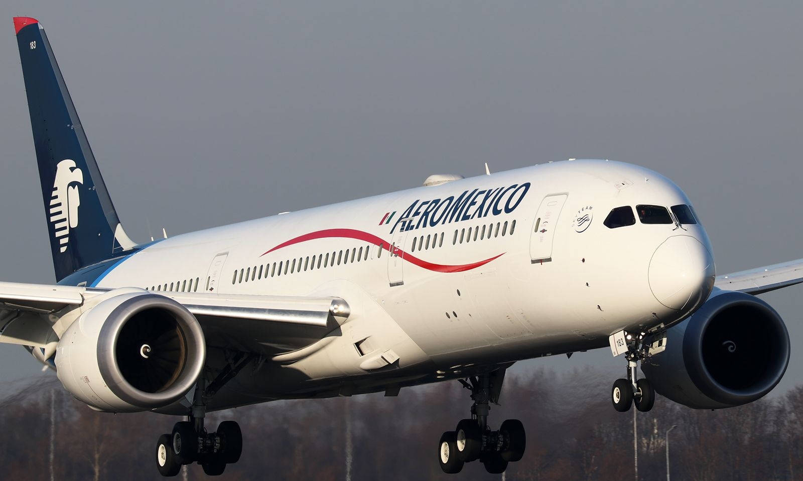 Aeromexico Airline Boeing 777-200LR Fly Tapet Wallpaper