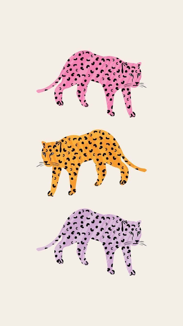 Three Leopards Walking In A Row On A White Background Wallpaper