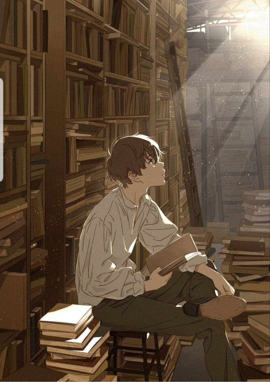 Aesthetic Anime Boy Books Library