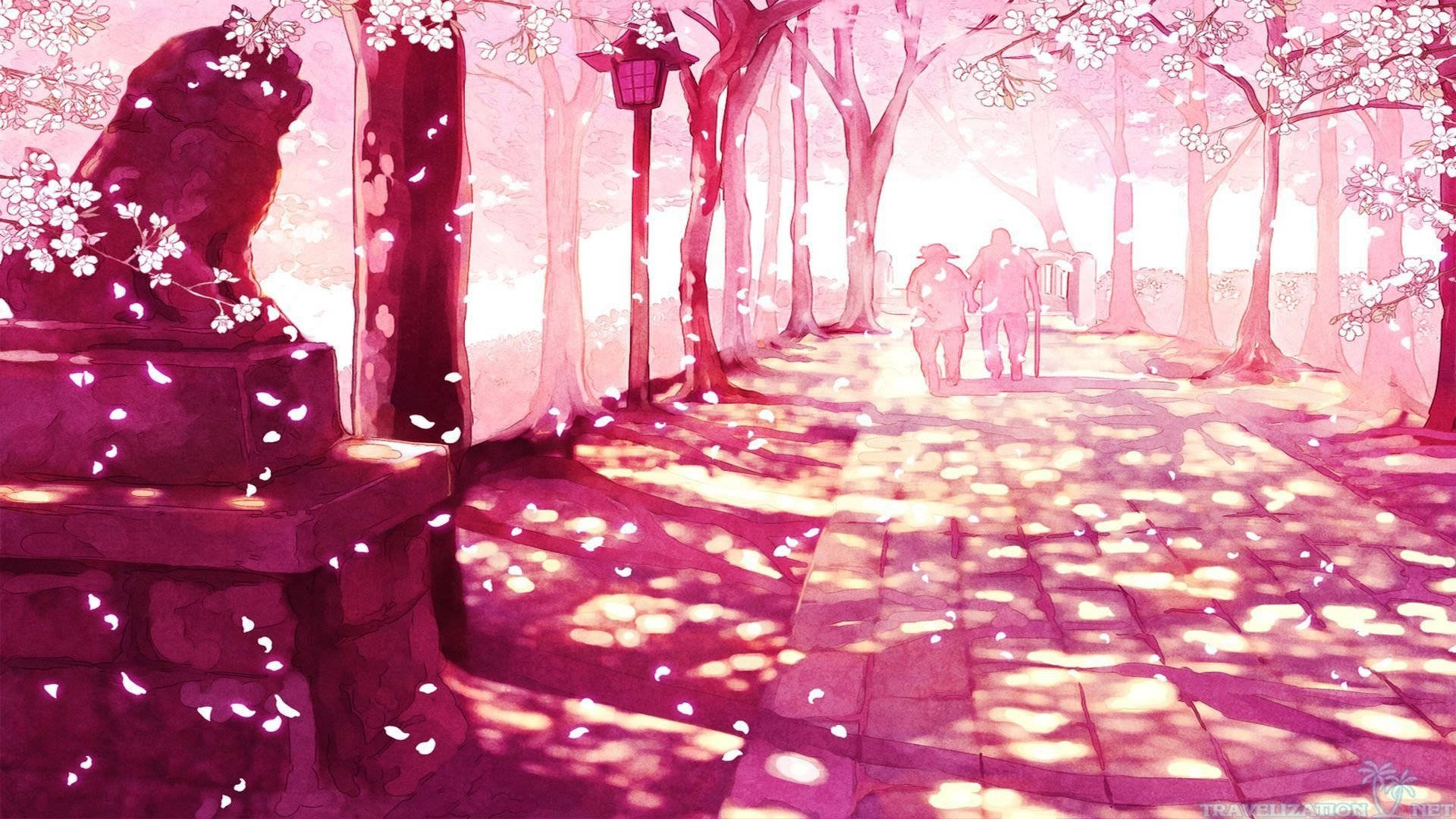 Aesthetic Art Cherry Blossoms Background