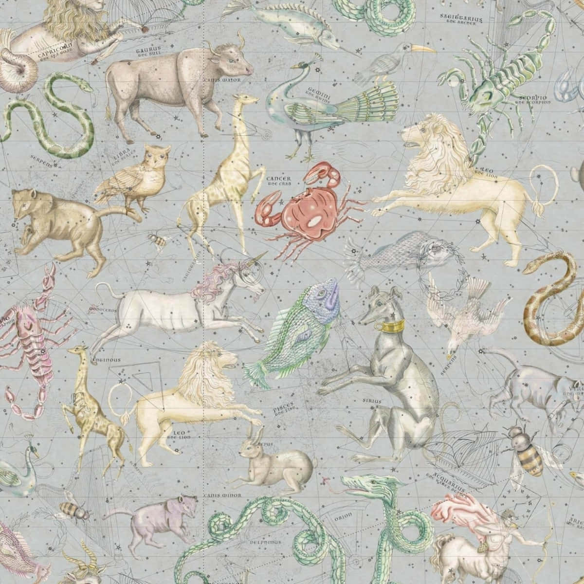 Diesterne Und Planeten Ordnen Sich In Der Immer Wunderschönen Ästhetischen Astrologie An. Wallpaper