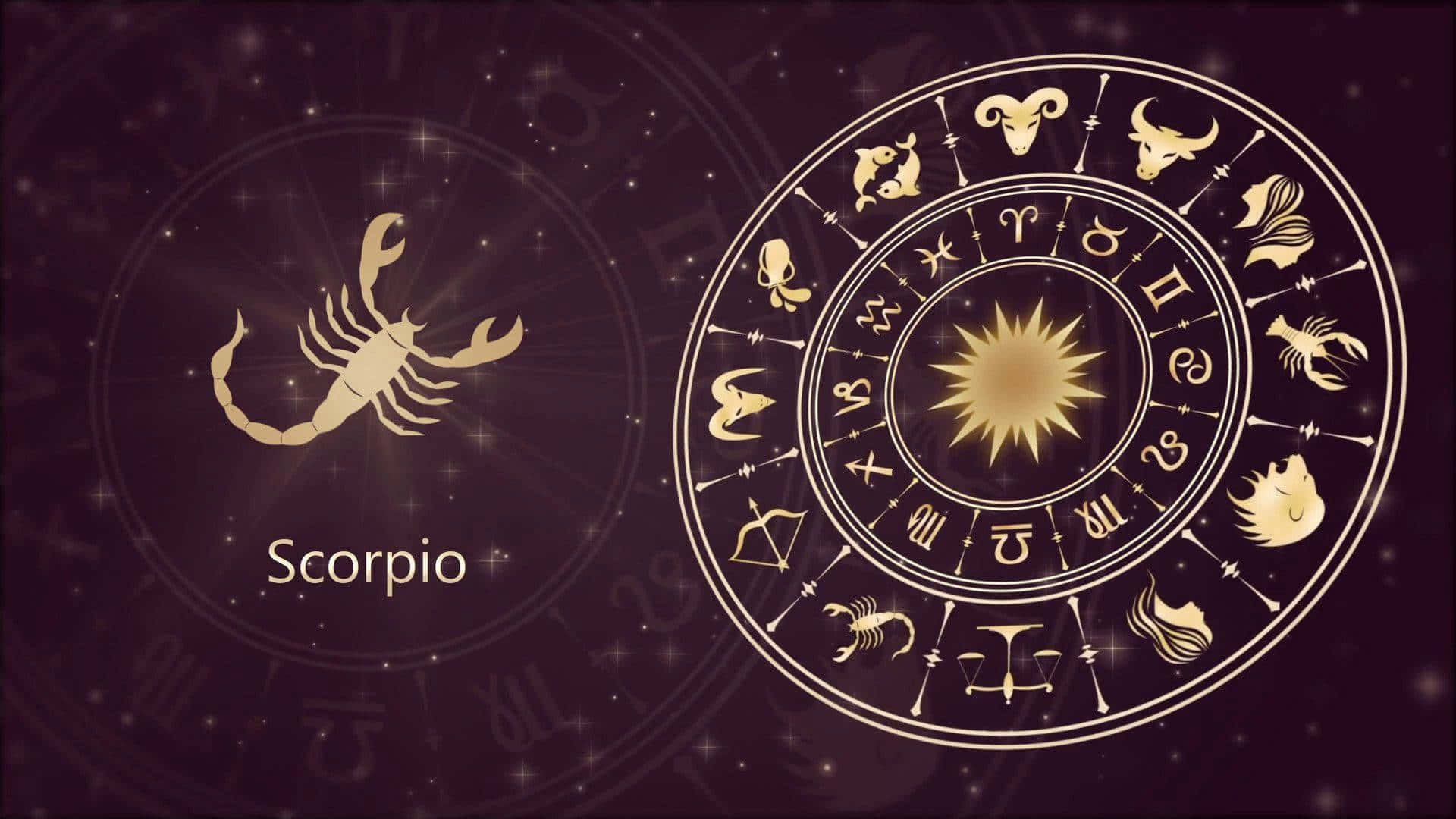 Skorpionen zodiac tegn i horoskop pigete tema Wallpaper