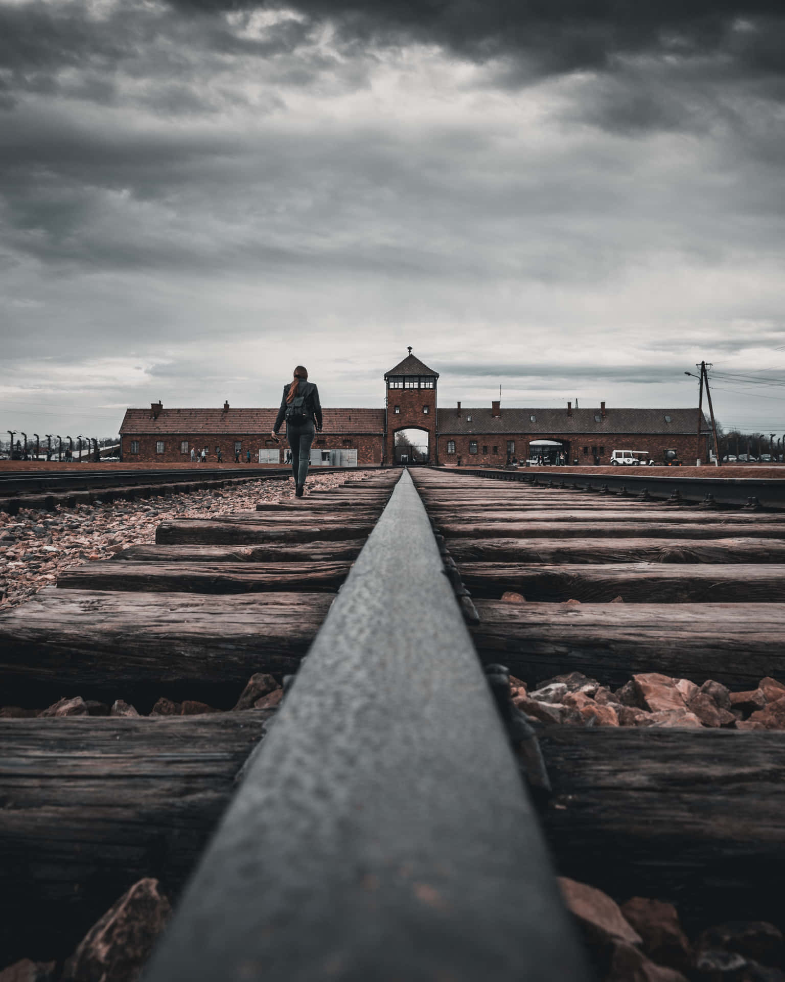 Aesthetic Auschwitz Birkenau Low Contrast Portrait Picture