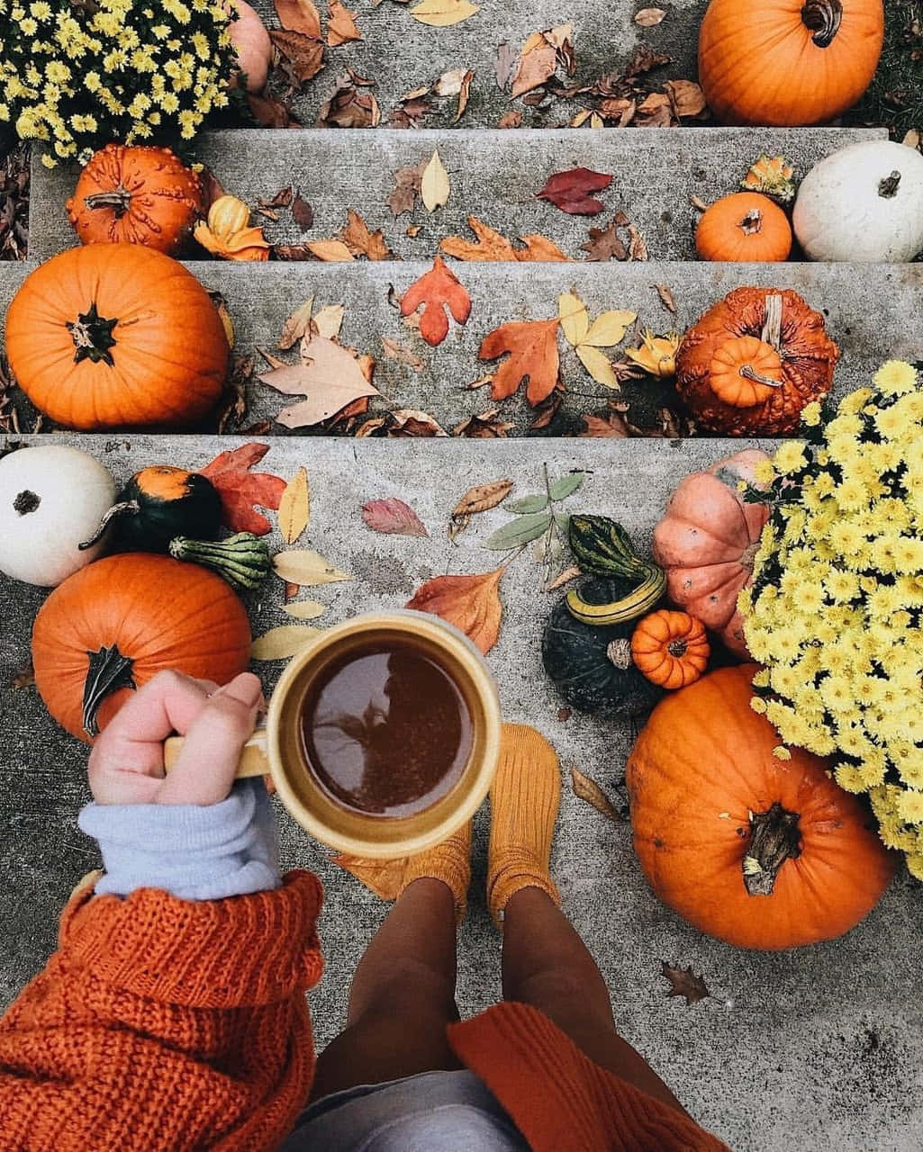 Aesthetic Autumn Halloween Cup Of Cocoa Wallpaper