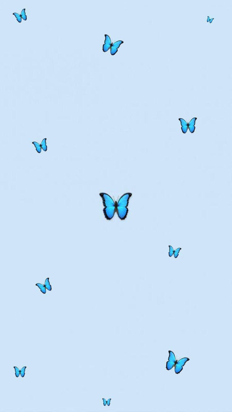 Aesthetic Baby Blue Butterflies Wallpaper