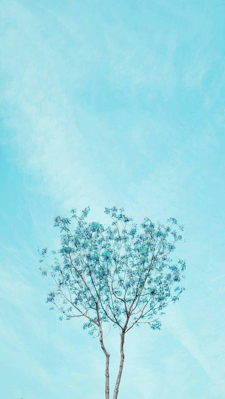 Aesthetic Baby Blue Tree Wallpaper