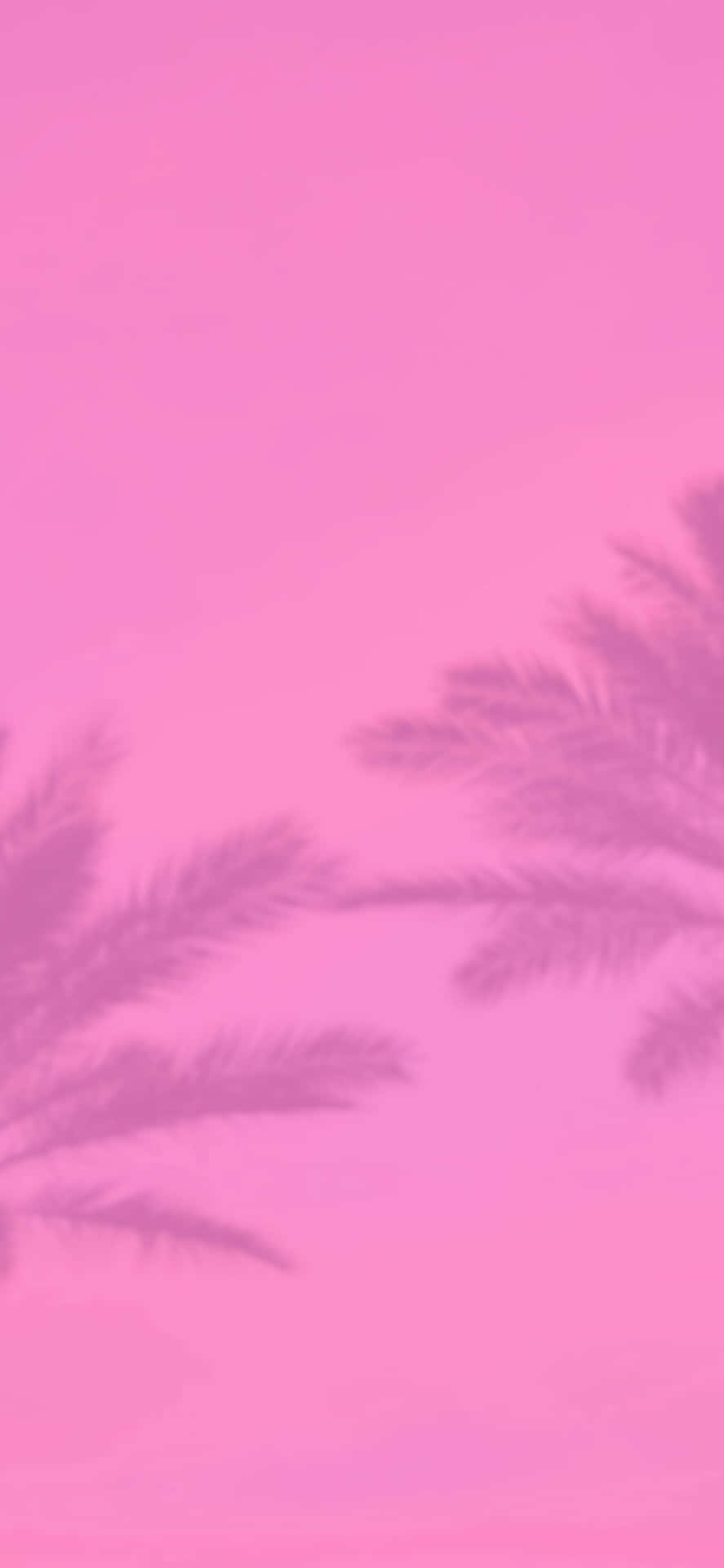 Aesthetic Baby Pink And Palm Trees Wallpaper