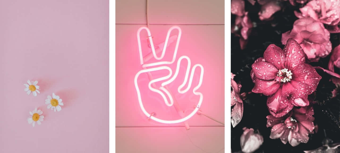 Pink Wallpapers For Your Desktop Wallpaper