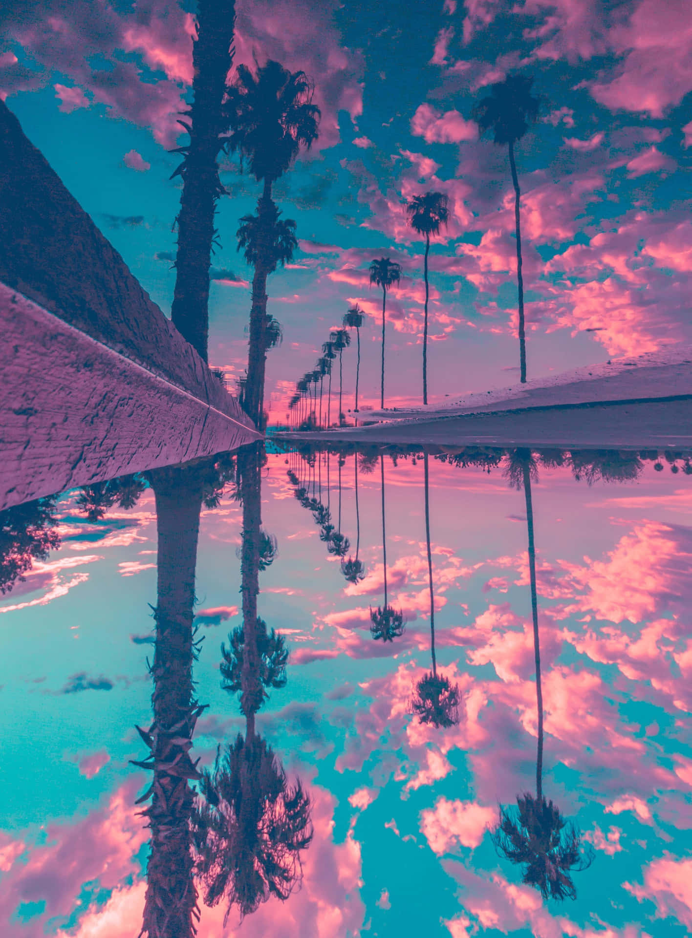 Aesthetic Background With Pink Clouds And Palm Trees