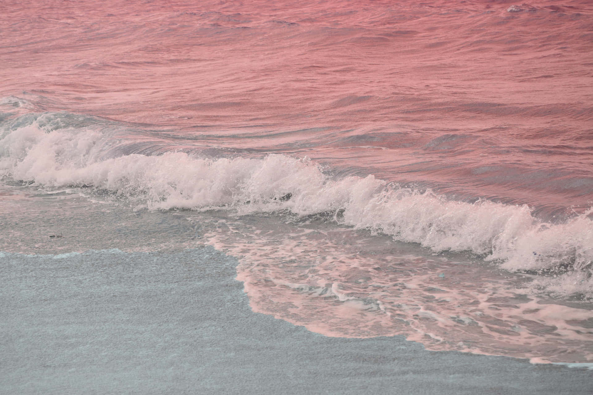 Díaperfecto En Imagen - Disfruta Del Atardecer En La Playa Con Tu Laptop. Fondo de pantalla