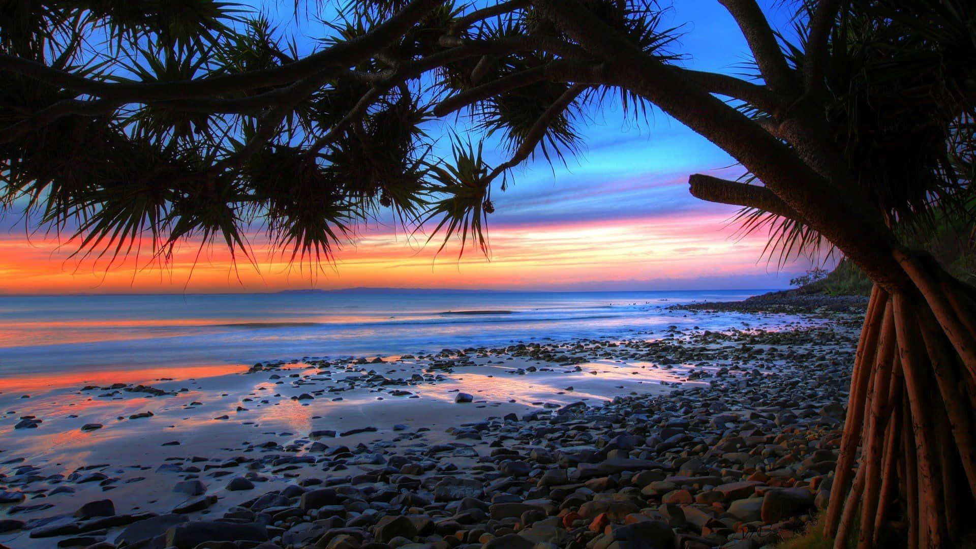 Aesthetic Beach Laptop Trees Sunset Wallpaper