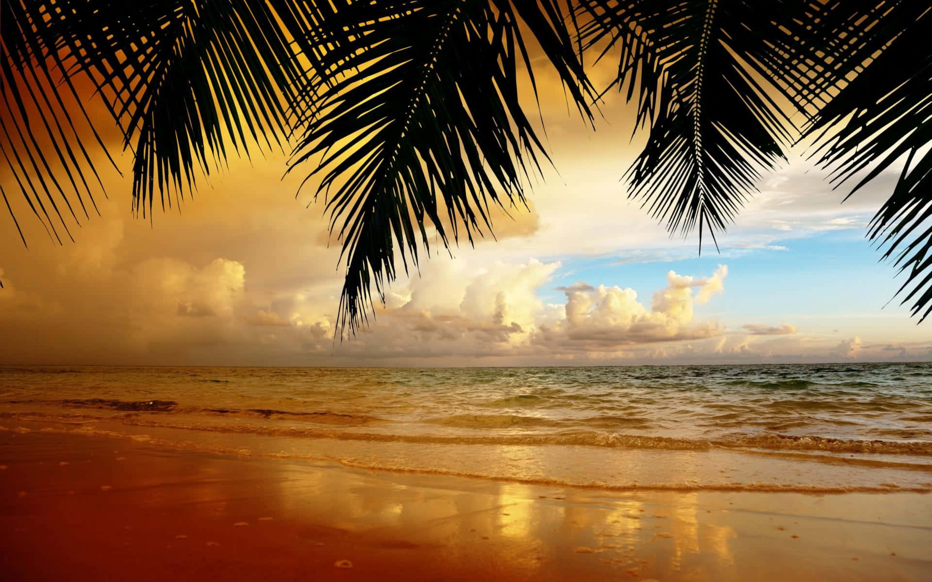 A Beach With Palm Trees And Clouds In The Background