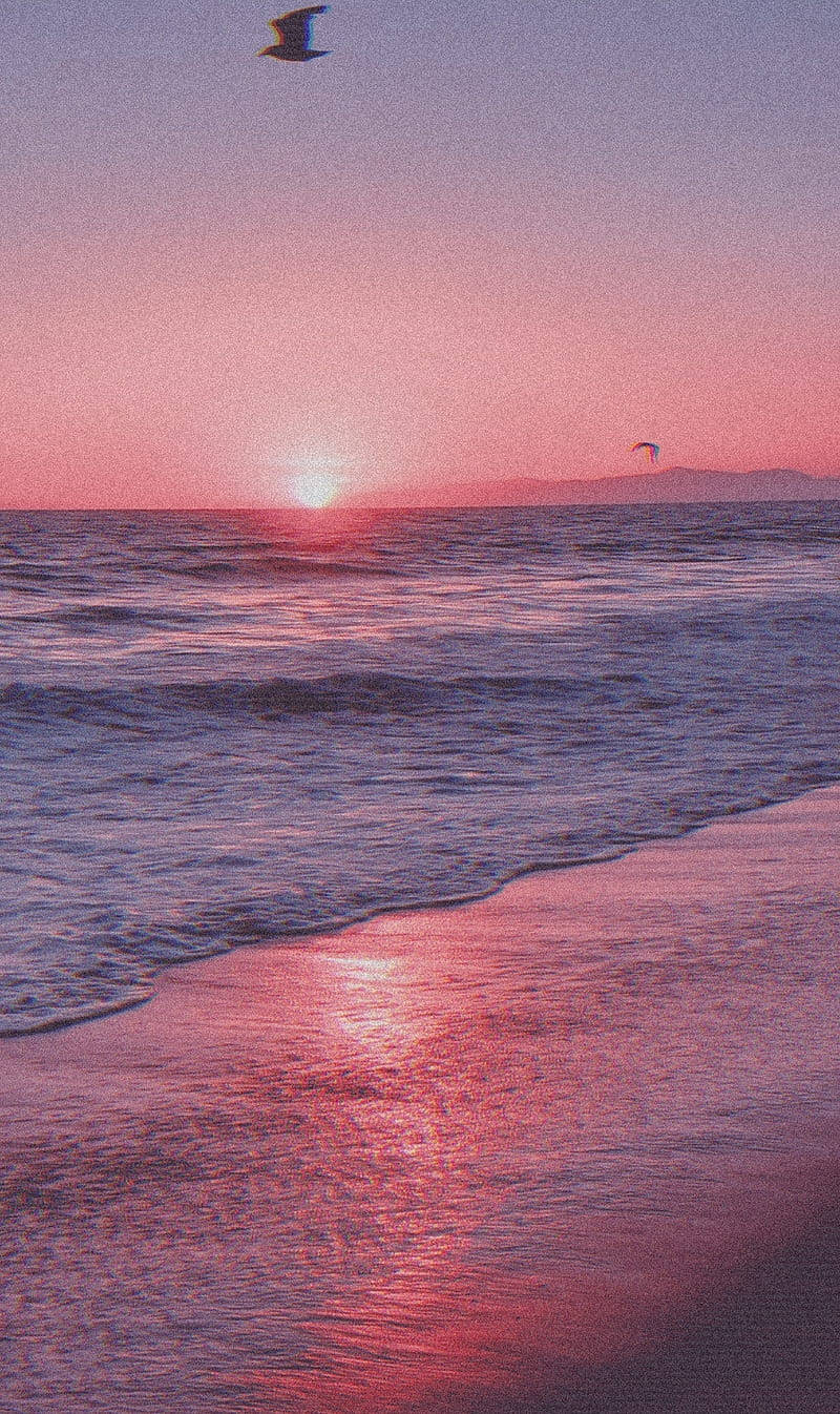 Aesthetic Beach Pink Sunset