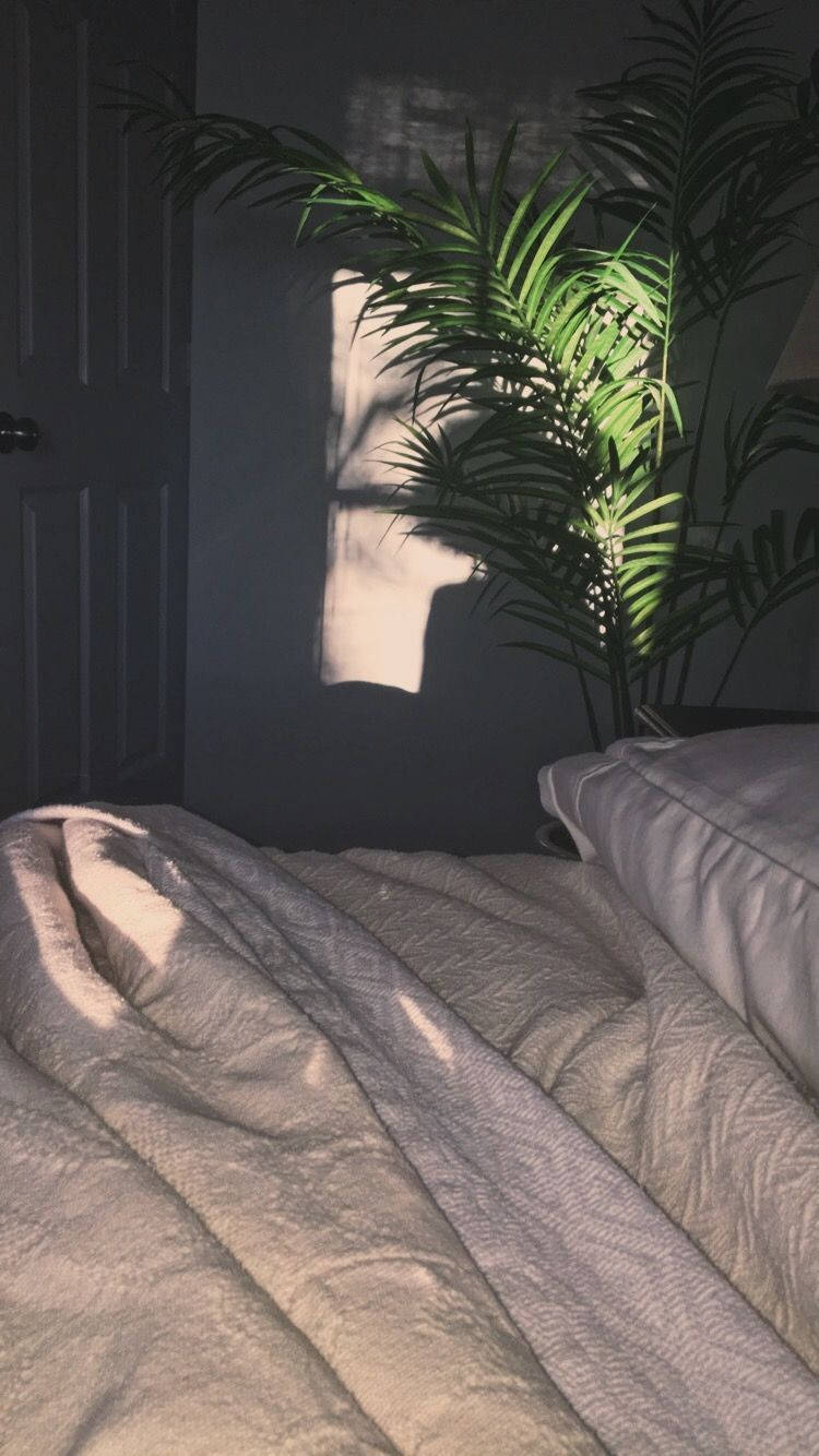 A Bed With A Plant On It Wallpaper