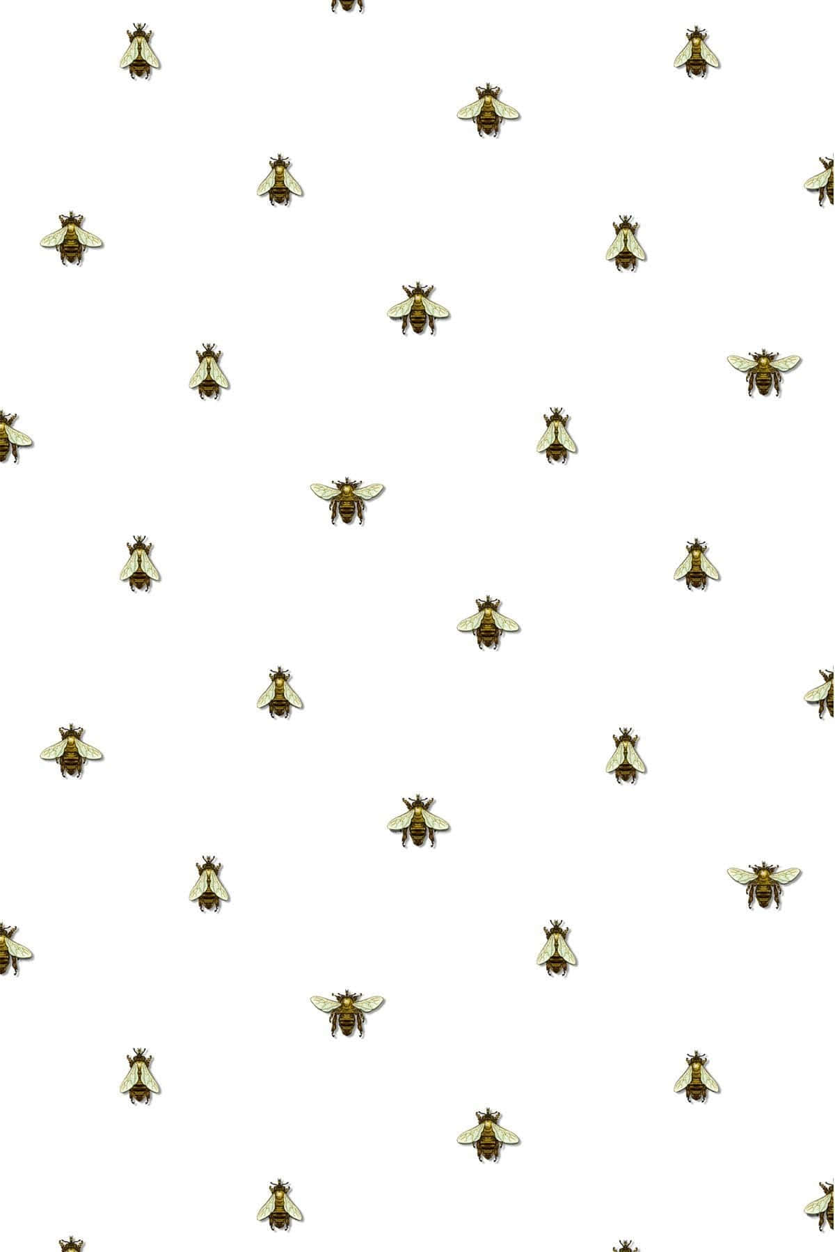 Captivating Aesthetic Bee Wallpaper Wallpaper