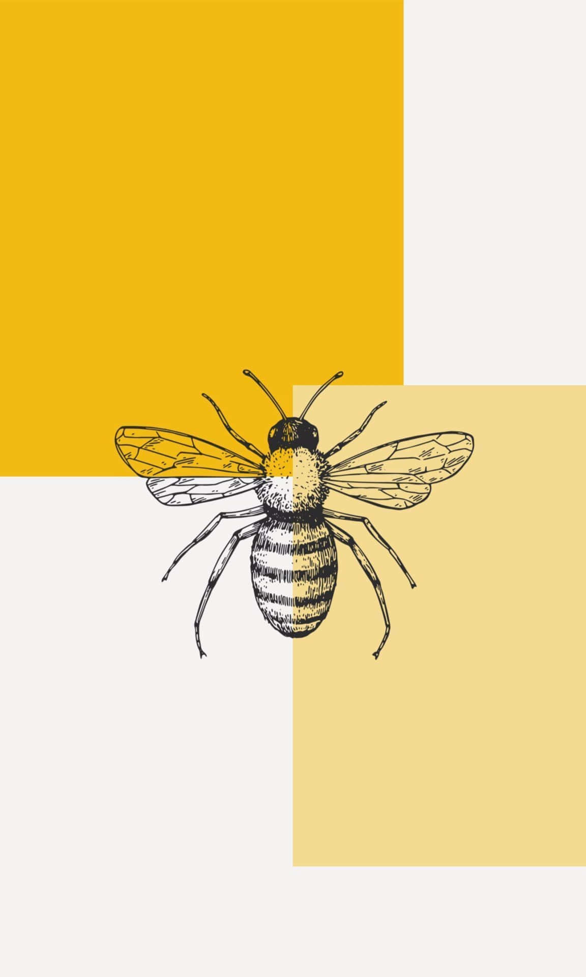 Majestic Aesthetic Bee on a Sunny Day Wallpaper