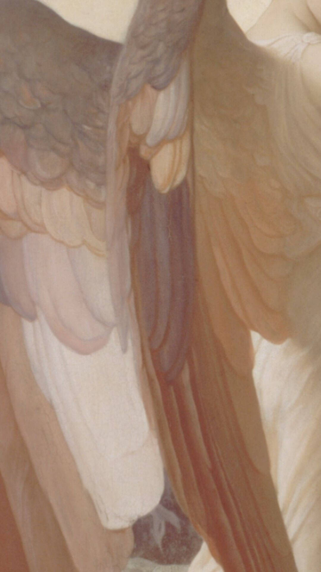 Aesthetic Beige Angel Wings Wallpaper