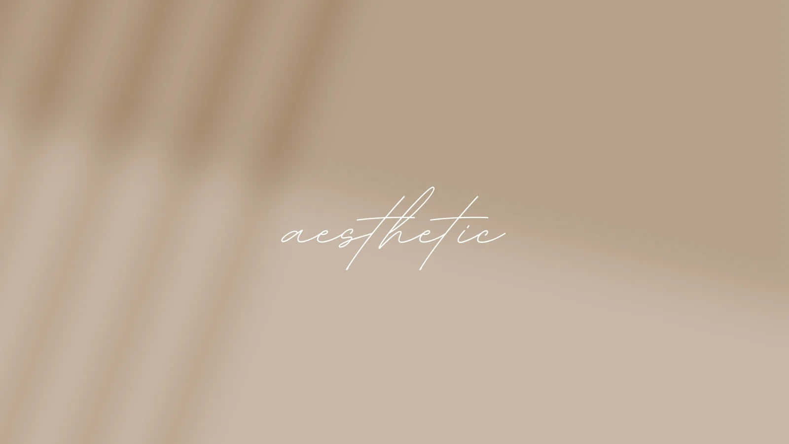 Embrace effortless style with this Aesthetic Beige Background!