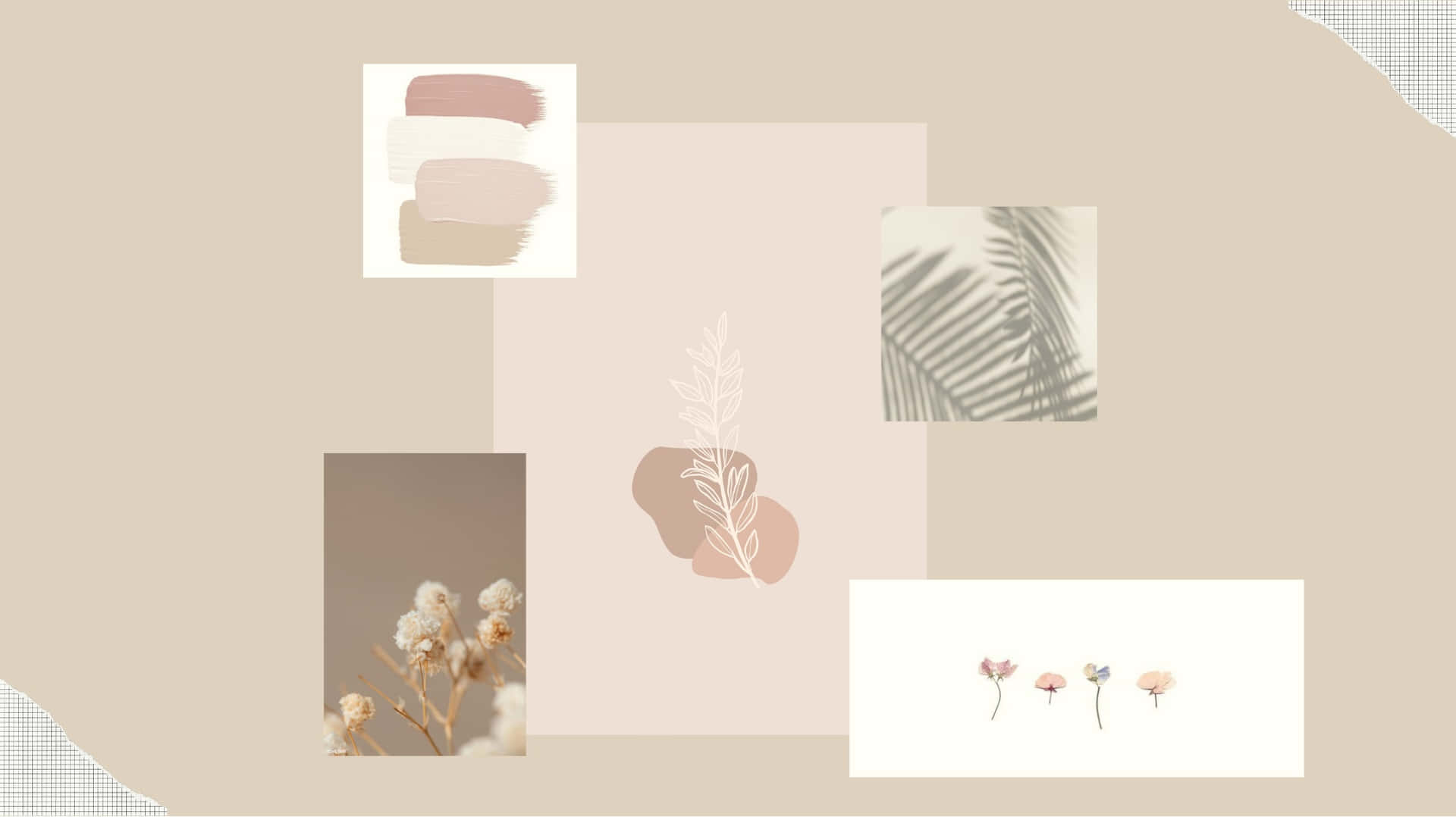 A Beige And Beige Background With A Few Pictures