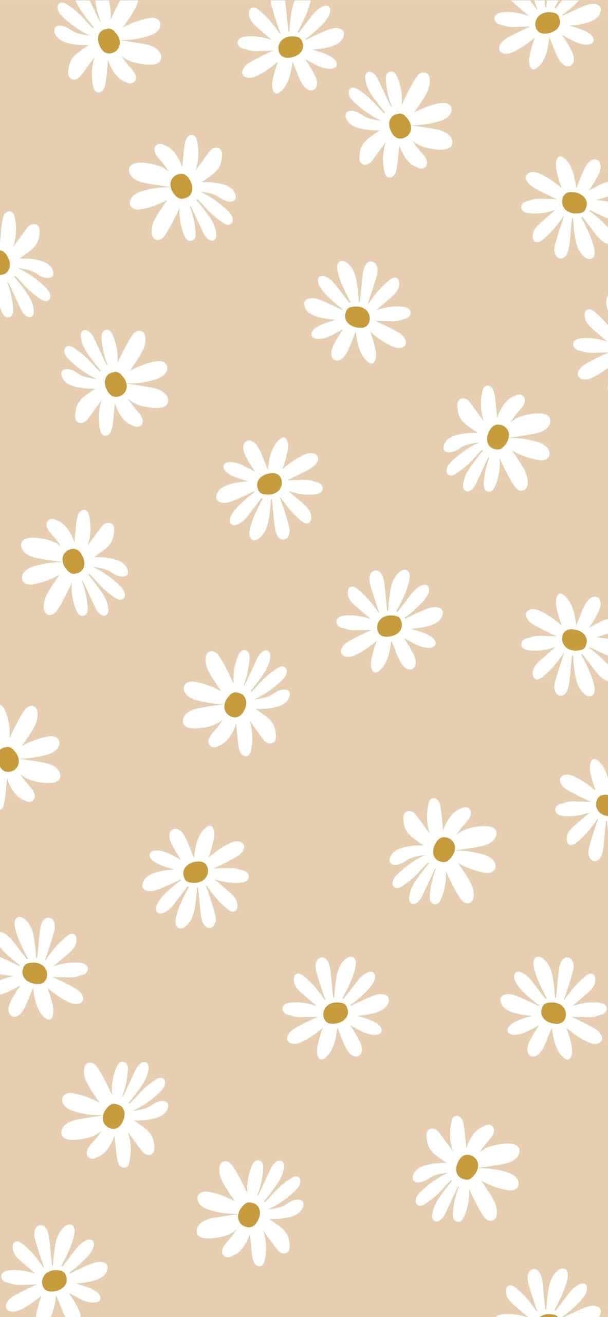 Daisy Pattern On A Beige Background