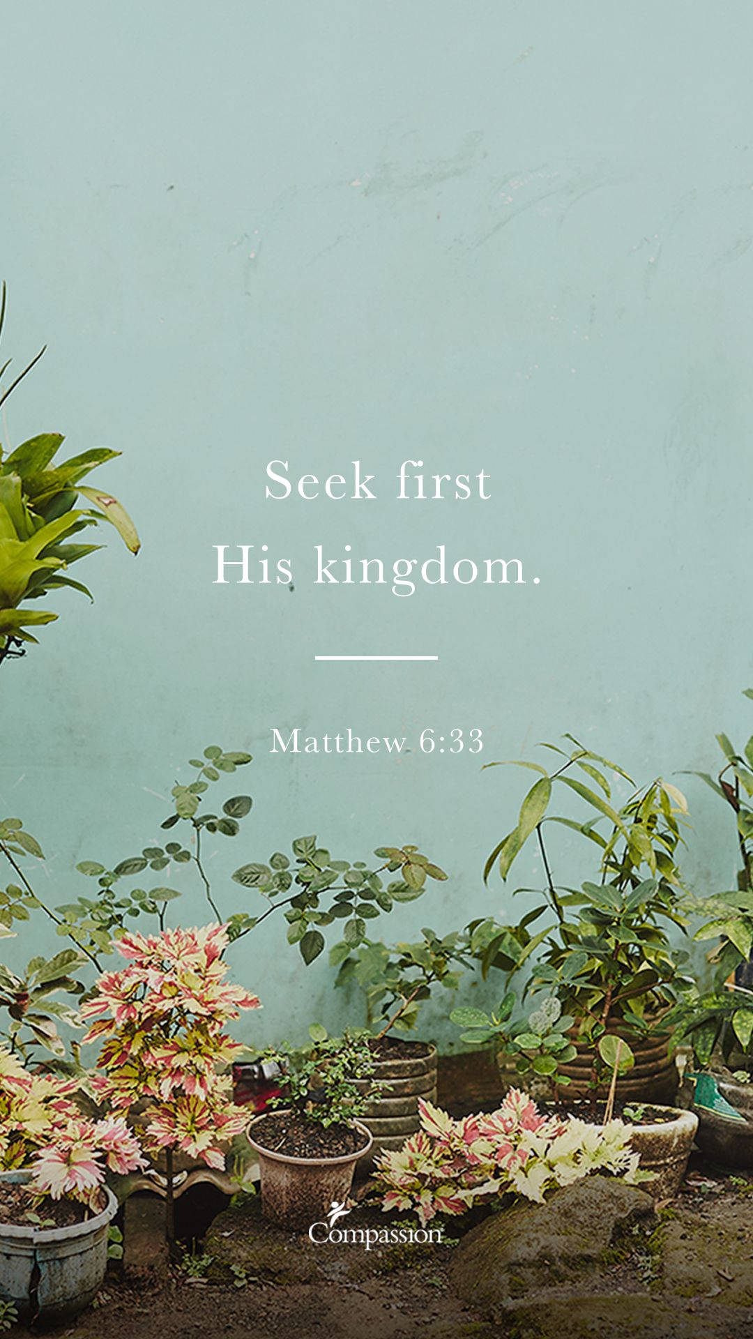 Aesthetic Bible Verse Matthew 6:33 Wallpaper
