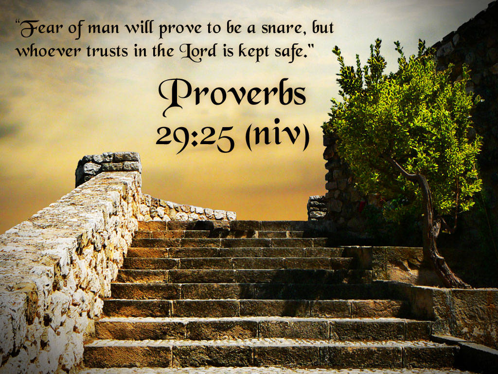 Aesthetic Bible Verse Proverbs 29:25 Wallpaper