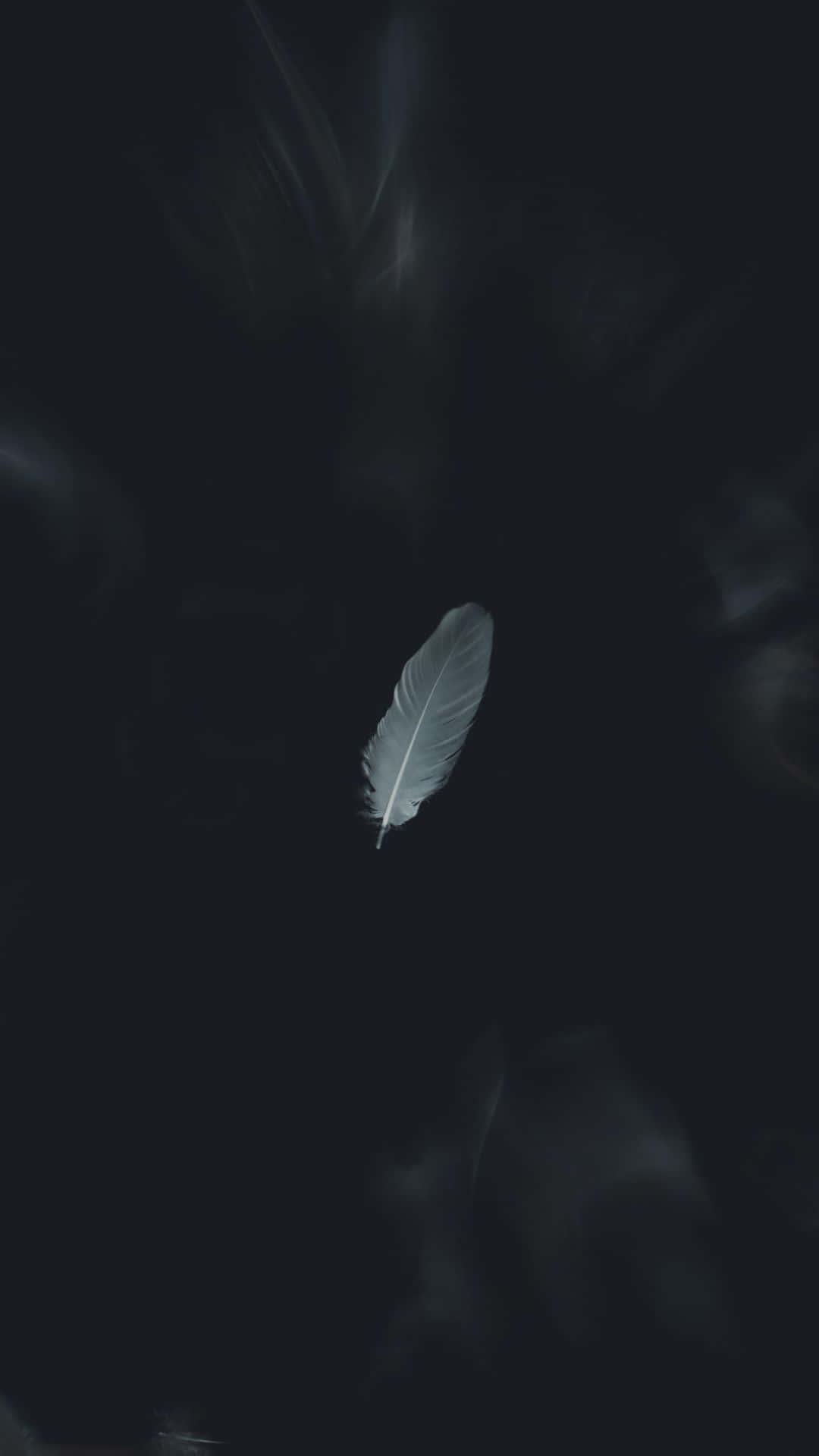 Single Feather Aesthetic Black Background
