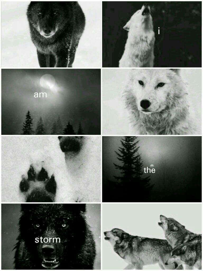 A Collage Of Pictures Of Wolves And The Words I Am