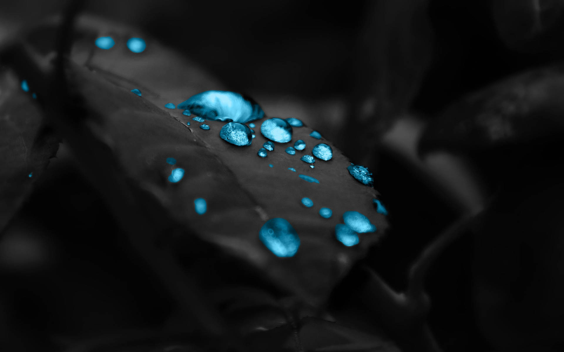Ästhetischeblaue Regentropfen Auf Schwarzer Oberfläche Wallpaper