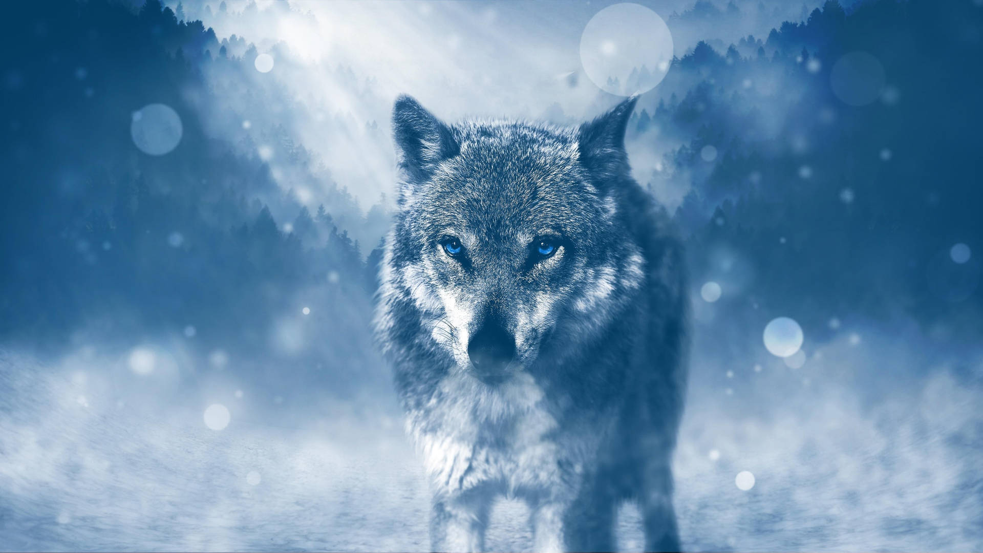 Aesthetic Blue Wolf