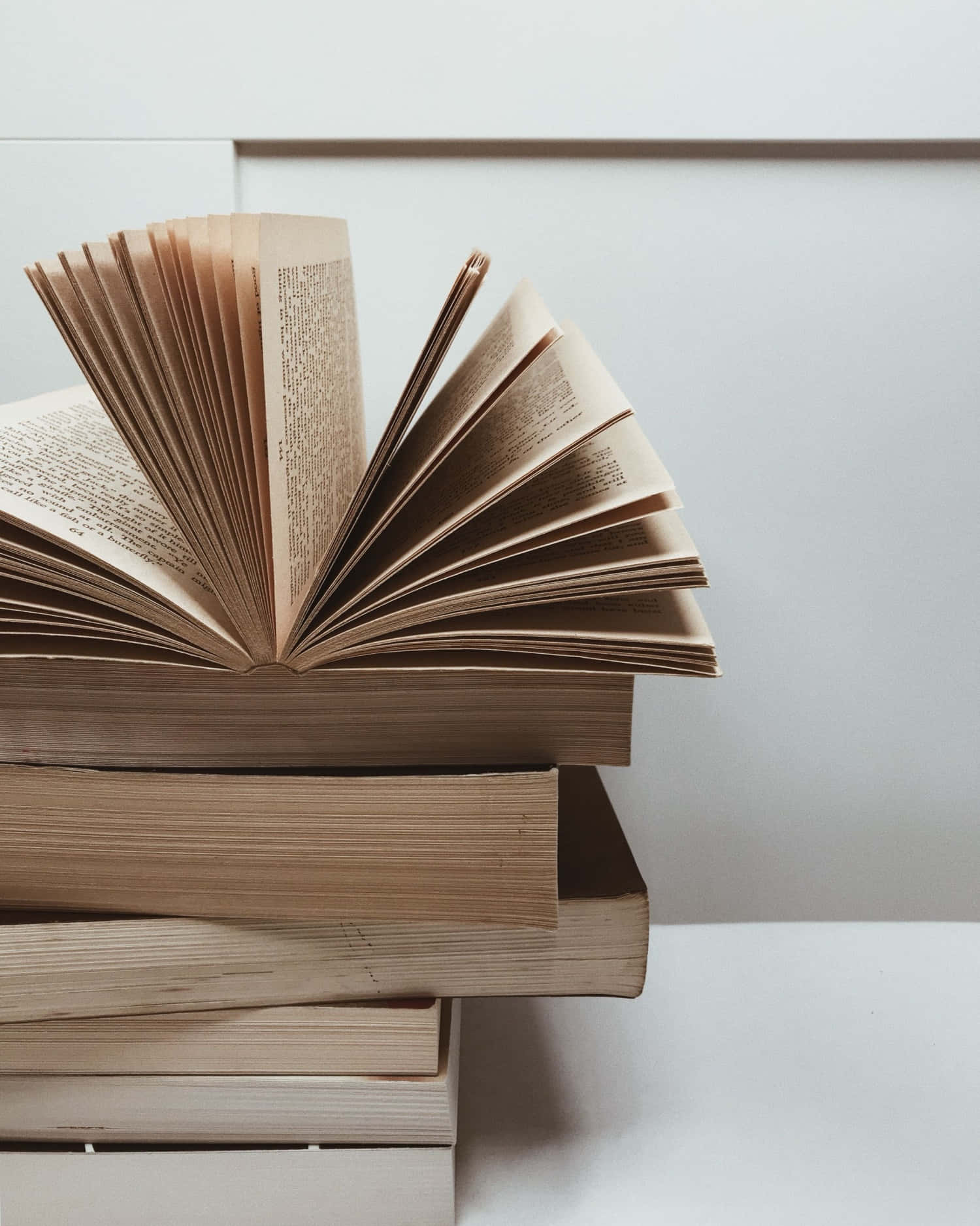 A Author's journey to knowledge starts with a book