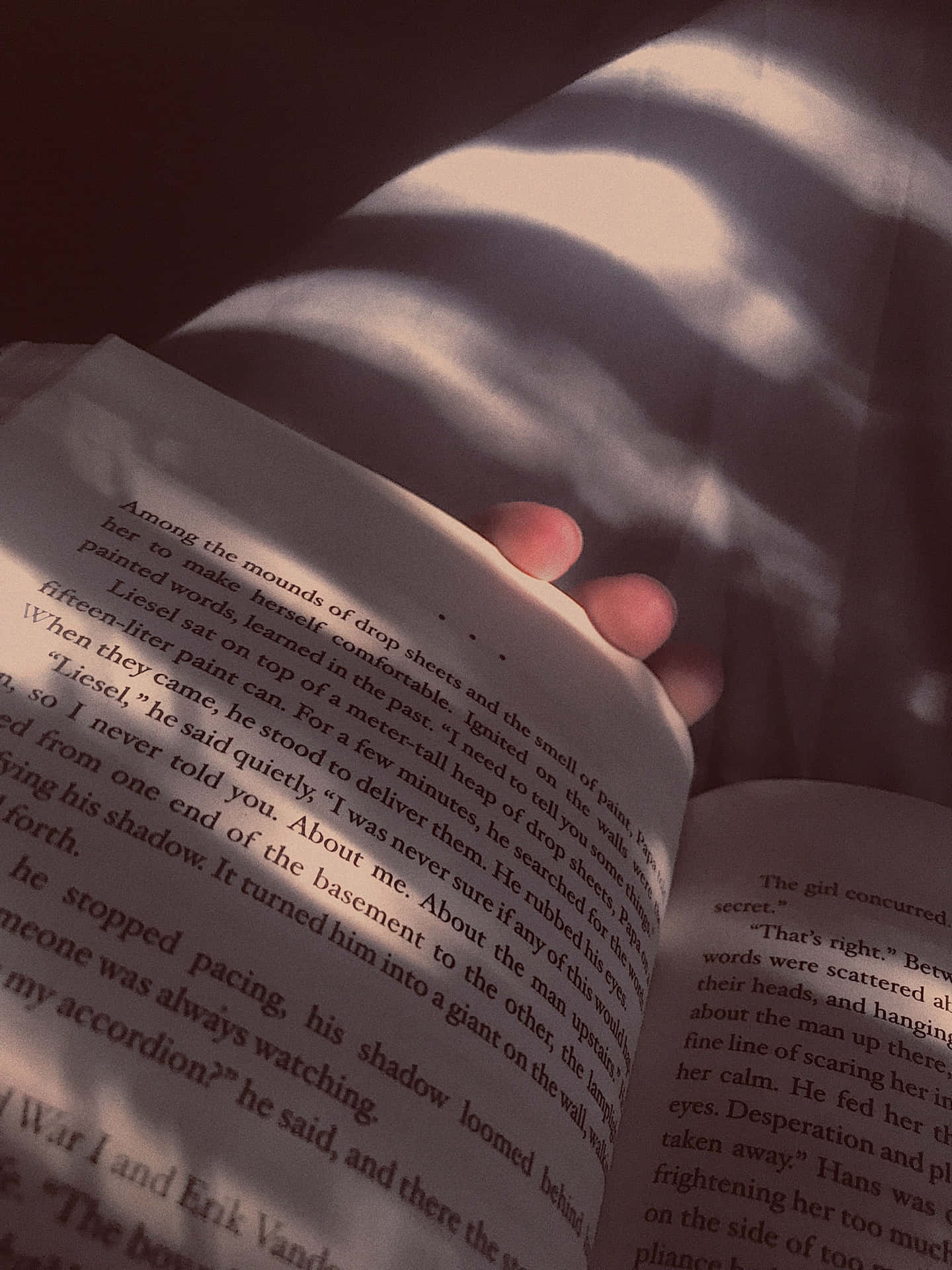 A Person Holding A Book In The Sunlight