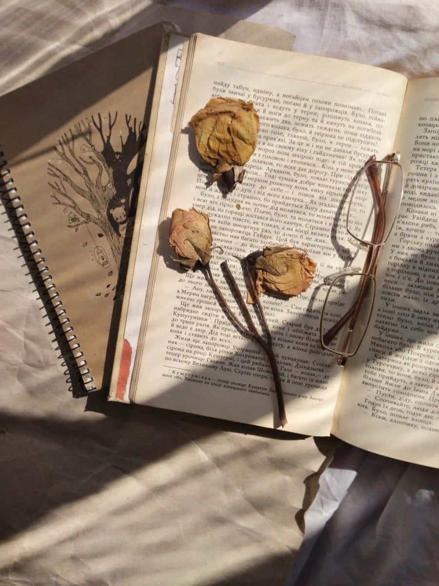 Aesthetic Book Dried Flower Pictures